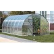 Greenhouse "Dachnaya-Tryoshka"