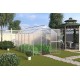 Greenhouse "Mini"