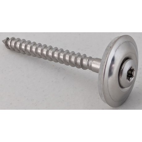 Stainless steel screws with washers