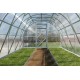 Greenhouse "Dachnaya-Tryoshka"